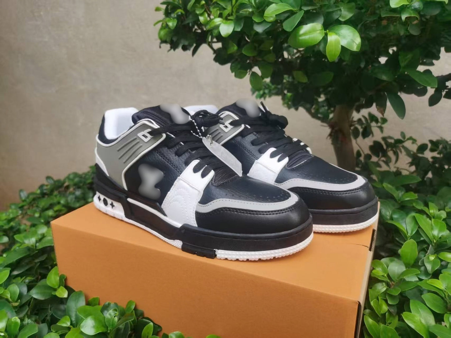 LV Trainer