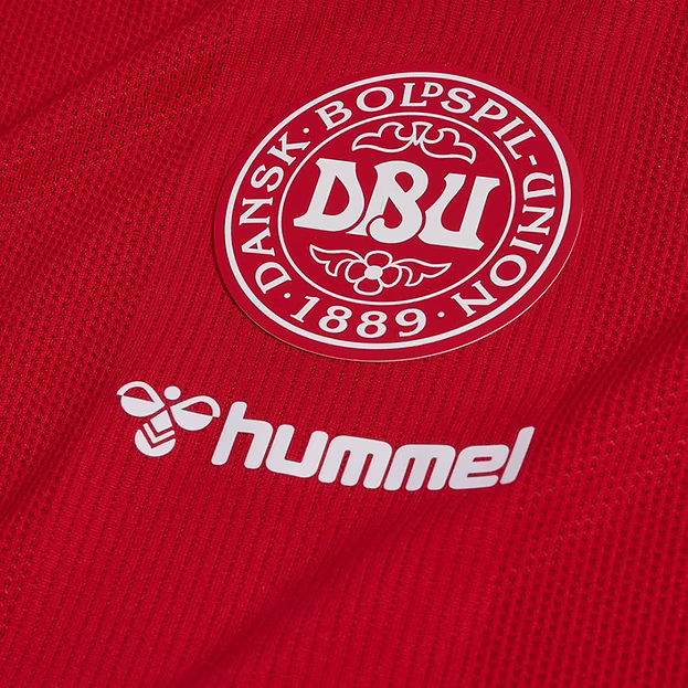 2026 Denmark home game