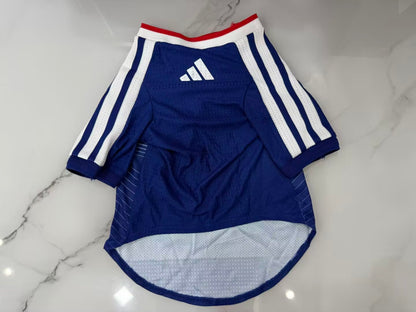 Pet Carrier