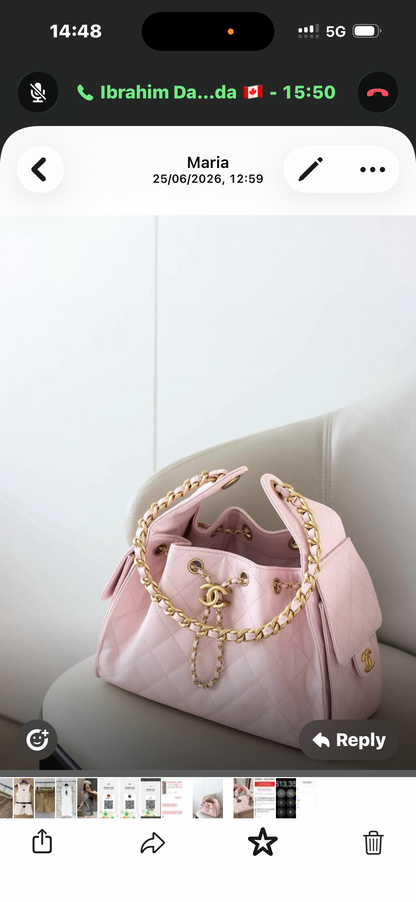 Jennie's Same Style Chanel-Inspired Hobo Underarm Bag 26 Quilted Chain Shoulder Handbag for Women, Fashionable and High-End