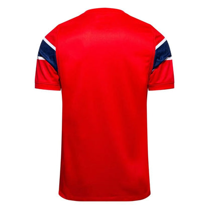 2026 World Cup Norway Soccer Jersey Home