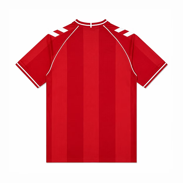 2026 Denmark home game