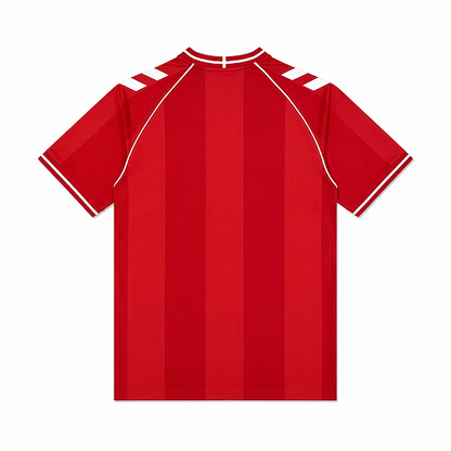 2026 Denmark home game