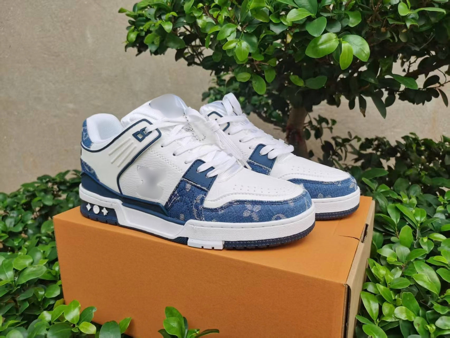 LV Trainer